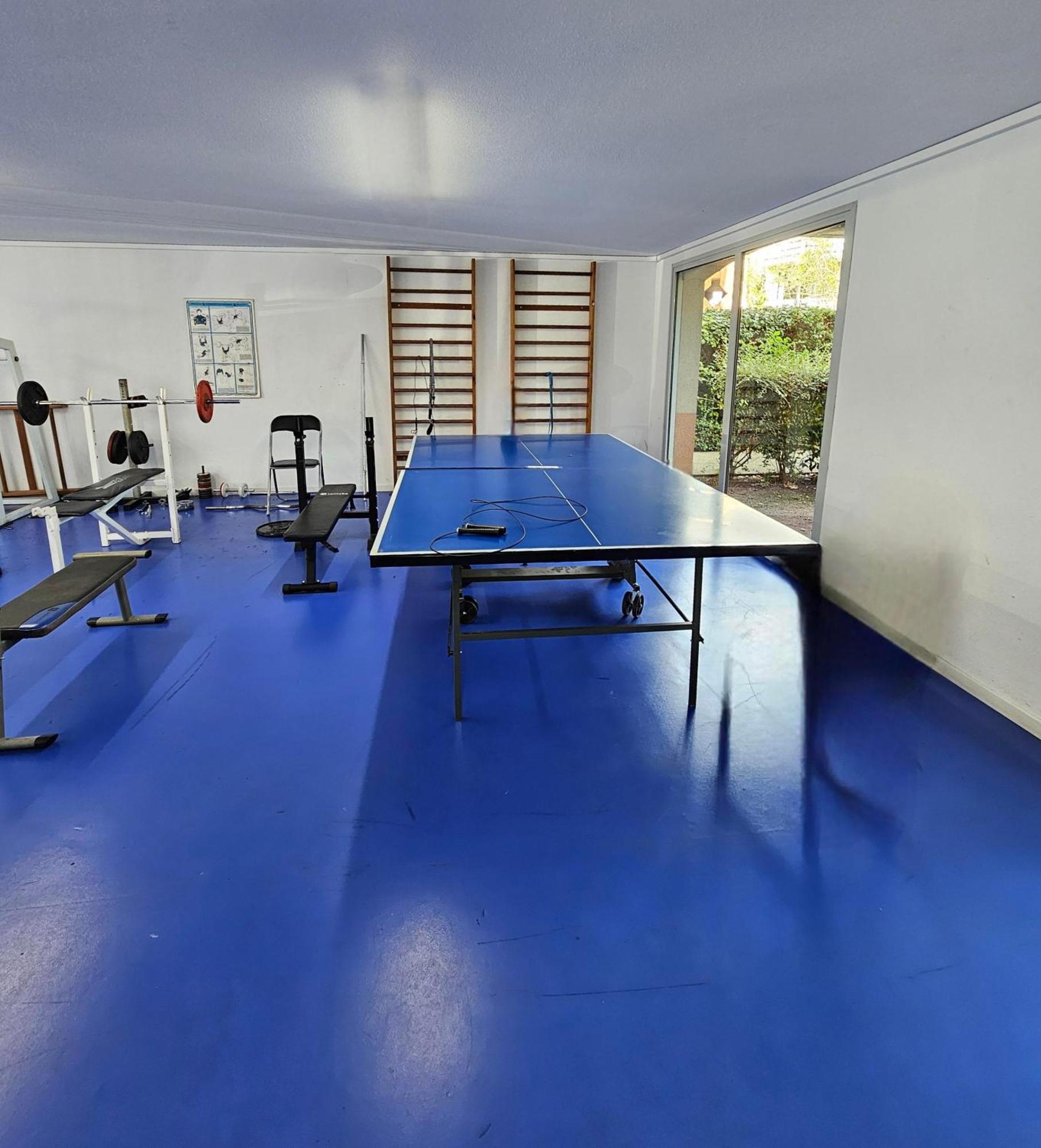 T2 Havre De Paix 2 A 4 P - Terrasse - Parking - Piscine - Salle Sport - Tennis Toulouse Eksteriør billede